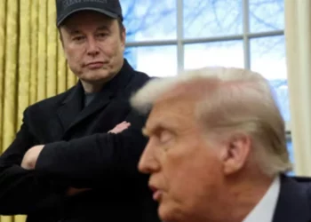 Musk sulmon këshilltarin kryesor të tregtisë së Trump: Është më budalla se një thes me tulla