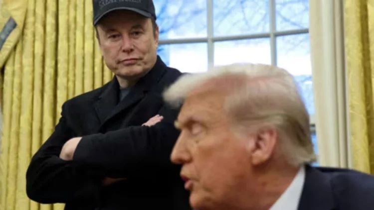Musk sulmon këshilltarin kryesor të tregtisë së Trump: Është më budalla se një thes me tulla