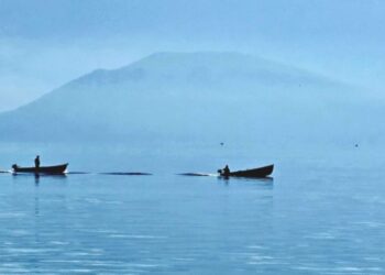 Peshkatarët e Pogradecit kundërshtojnë ndalimin e peshkimit me rrjeta në liqen
