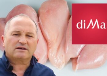 Mishi me salmonelë/ Procedohet në gjendje të lirë vëllai i pronarit të ‘diMal’