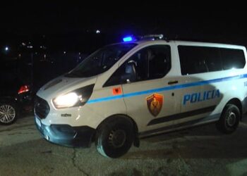Lushnjë/ Tentohet të vritet gjatë natës roja i një stani, e qëllojnë në kokë