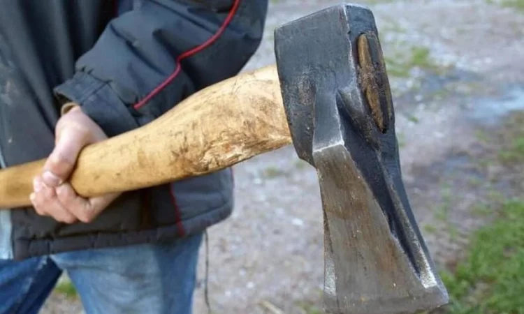 Tmerrohen dy të miturit, një burrë zbret nga makina dhe i sulmon me sëpatë