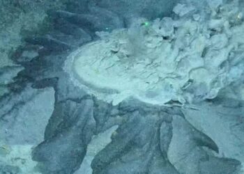 Zbulohet një çarje masive nën Tokë, shkencëtarët vijnë me paralajmërimin e frikshëm!