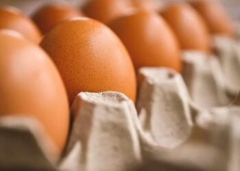 Gripi i shpendëve vazhdon të rrisë çmimet e vezëve