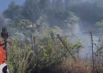 Zjarr në Lazarat, rrezikohen banesat