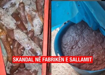 Pamje të TMERRSHME brenda fabrikës sallamit në Tiranë: Mishi i kalbur dhe sallami i mykur përpunohen me ngjyrues