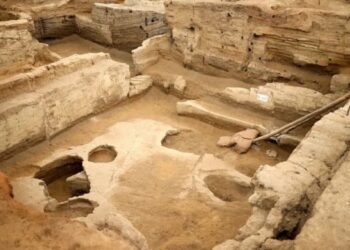 Turqi/ Zbulohet dhe riprodhohet një bukë 5 000-vjeçare