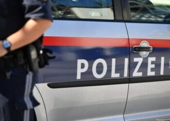 Shqiptari i grabiti mbi 100 mijë euro agjentit të infiltruar, dënohet me burg në Austri