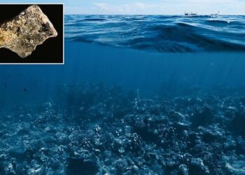 Zbulohet në fund të detit qyteti i ndërtuar 140 mijë vjet më parë