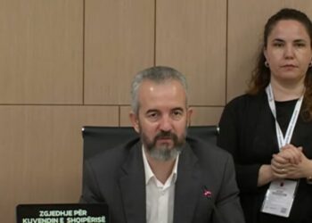 Celibashi: Deri tani 2500 vota të diasporës kanë dalë të pavlefshme!