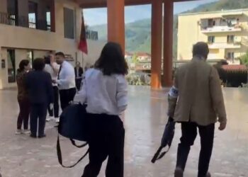 OSBE/ ODIHR vëzhgon nga afër procesin e votimit në Berat