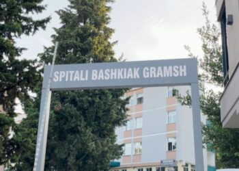 Helmimi nga salmonela në kopshtin në Gramsh, drejtoresha e Spitalit: Tre fëmijë u paraqiten për mjekim