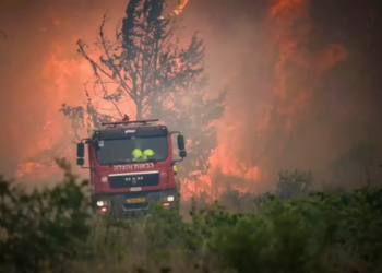 Izraeli shpall gjendjen e jashtëzakonshme, mijëra hektarë të shkrumbuara nga zjarret e fuqishme