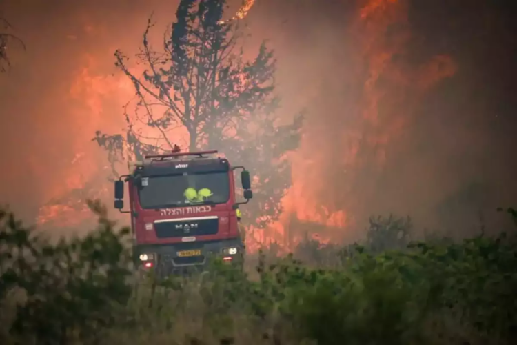 Izraeli shpall gjendjen e jashtëzakonshme, mijëra hektarë të shkrumbuara nga zjarret e fuqishme