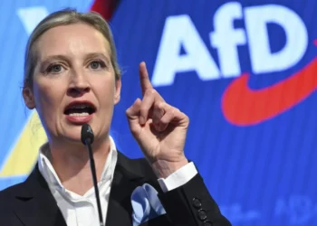 Vendimi që tronditi politikën gjermane, a do ndalohet partia AfD tani?