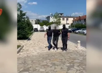 I kërkuar nga Spanja për drogë, arrestohet 28-vjeçari në Shkodër (Emri)