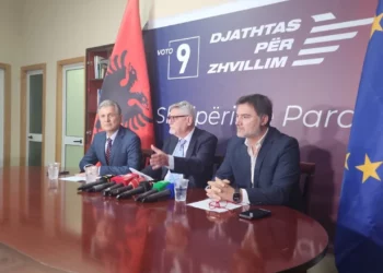 Pas humbjes më 11 Maj, Dash Shehi jep dorëheqjen nga Djathtas për Zhvillim Kombëtar