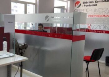 Punësimi në Shqipëri, INSTAT: Përfshirje e pakët e të rinjve, shkak arsimi i ulët