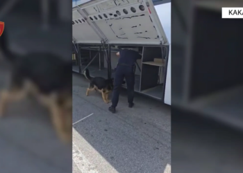 Rreth 74 mijë euro dhe dokumenta false brenda autobusit, arrestohen 2 persona në Kakavijë (Emrat)