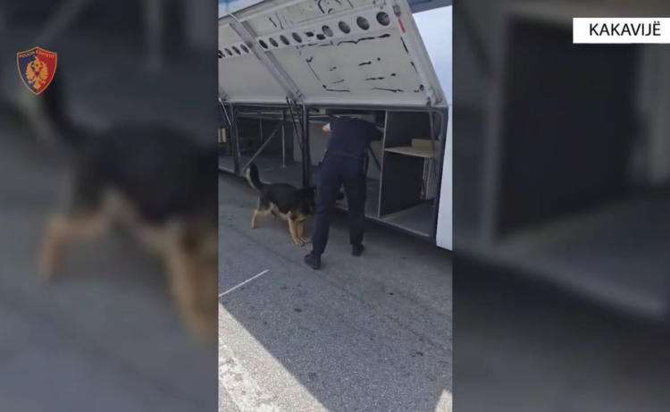Rreth 74 mijë euro dhe dokumenta false brenda autobusit, arrestohen 2 persona në Kakavijë (Emrat)