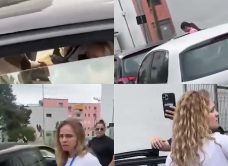 VIDEO/ Patronazhistet kapen me lista në duar, Sekretarja e Rakip Sulit kërcënon: Ik se të zhduka fare, plehër!