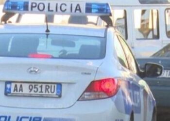 Vrasje me armë zjarri në fshatin Pla të Kukësit, dyshohet për motive pronësie