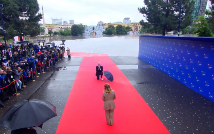 Edi mos…! Rama i serviloset deri në neveri Melonit, i ulet sërish në gjunjë në mes të shiut