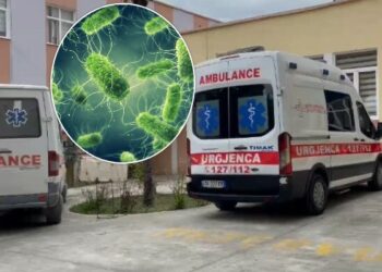 ISHP e konfirmon: 17 fëmijë të infektuar me salmonelë në kopshtin e Gramshit