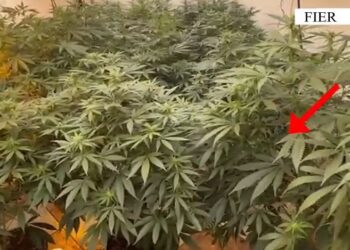 “Shtëpia e barit” në Fier, Prokuroria nis hetimet ndaj pronarit të banesës dhe punonjësit të OSHEE