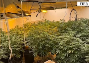 Ktheu banesën në ‘shtëpi bari‘, arrestohen pronari dhe një punonjës i OSHEE-së