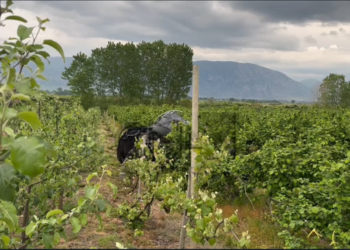 Aksident në aksin Korçë-Pogradec/ Raportohen dy të plagosur