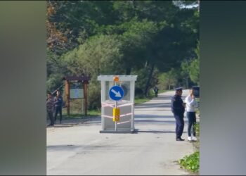 Plagoset me thikë 64-vjeçari në Divjakë, arrestohet autori (Emrat)