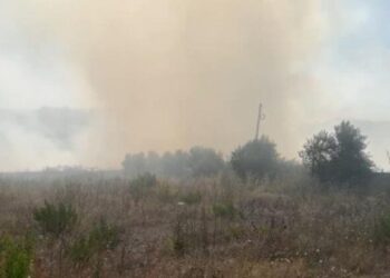 Lezhë/ Zjarr në afërsi të Rriles, tymi mbulon zonën