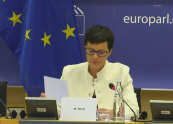 BE kritika Serbisë dhe Kosovës, Kos: Formoni institucionet, Vuçiç gaboi kur shkoi në Moskë