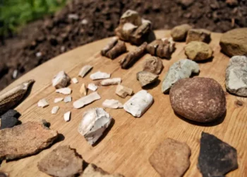 Zbulime të periudhës së Neolitit në Istog