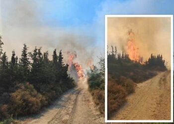 Del jashtë kontrollit zjarri në fshatrat e Vlorës dhe djeg varrezat, ndërhyn helikopteri me ujë