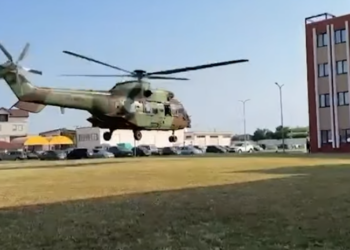 Parcelat plot me kanabis në Shkodër, asgjësohen 13 mijë fidanë, momenti i ndërhyrjes me helikopter (VIDEO)