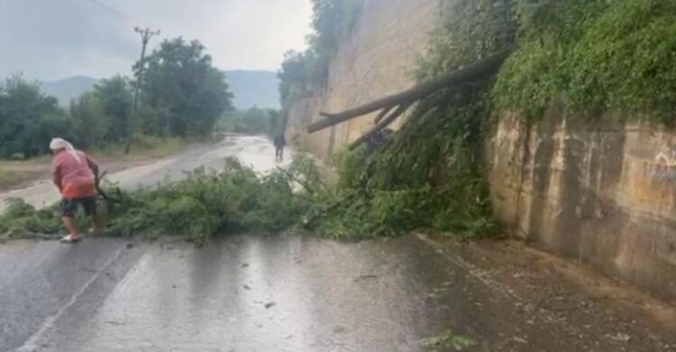 Mot ekstrem në Shqipëri, vapë në jug, në verilindje thyhen pemët