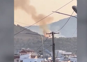 Ksamili në flakë, banorët shuajnë zjarrin me krahë, nuk ka rrugë të hyjë zjarrëfikësja