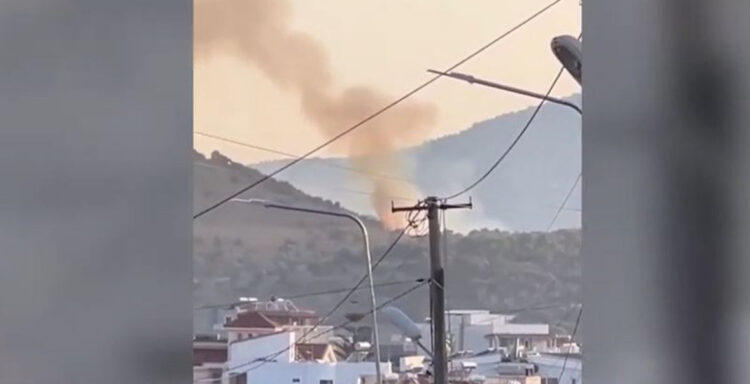 Ksamili në flakë, banorët shuajnë zjarrin me krahë, nuk ka rrugë të hyjë zjarrëfikësja