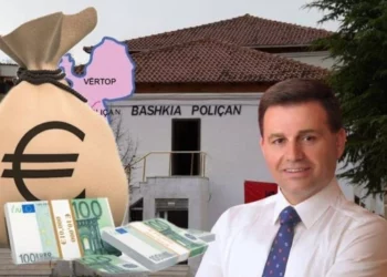 Zotkaj i Poliçanit i jep pa garë 184 hektarë ish-drejtorit të Alpetrolit për të vendosur panele diellore – Dokumentat