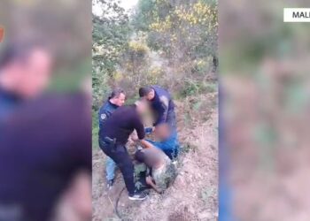 Zbulohet parcela me rreth 2 mijë rrënjë kanabis në Mallakastër, 2 në pranga