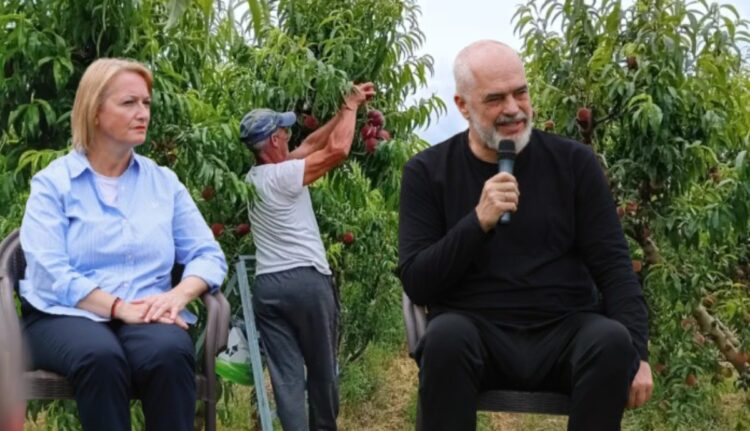 Prodhimi në krizë: Bujqësia në tkurrje për të pestin vit, industria për të tretin