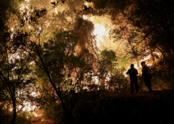 Zjarret pushtojnë ishullin grek, qindra zjarrfikës në luftë me flakët në Kios të Greqisë