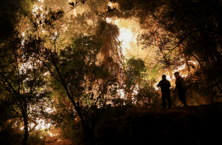 Zjarret pushtojnë ishullin grek, qindra zjarrfikës në luftë me flakët në Kios të Greqisë