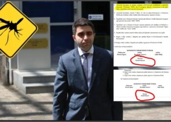 Nën hetim për kontrabandë, NRG e ‘mushkonjave’ fiton tendera me “ndihmë” nga Jonaid Myzyri i KPP