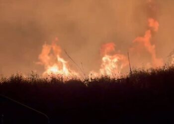 Zjarr në Ksamil vijon, dhjetëra forca zjarrfikëse në luftë me flakët