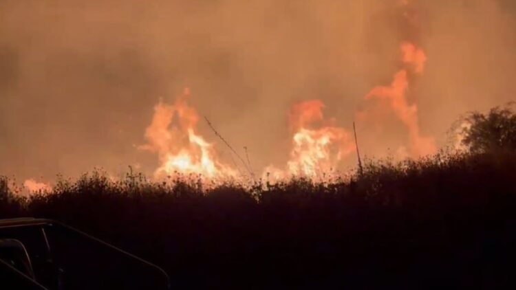 Zjarr në Ksamil vijon, dhjetëra forca zjarrfikëse në luftë me flakët