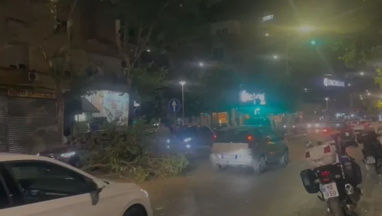 Makina merr përpara barrierat dhe thyen pemën në Tiranë! Largohet nga vendngjarja, por…i bie targa