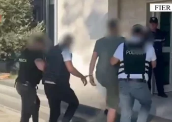 Kultivuan kanabis dhe posedonin armë zjarri, vihen në pranga dy vëllezërit në Fier (Emrat)